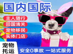 澜沧景迈航空快运国际宠物托运 【国